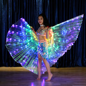 Butterfly Wings with Color LED