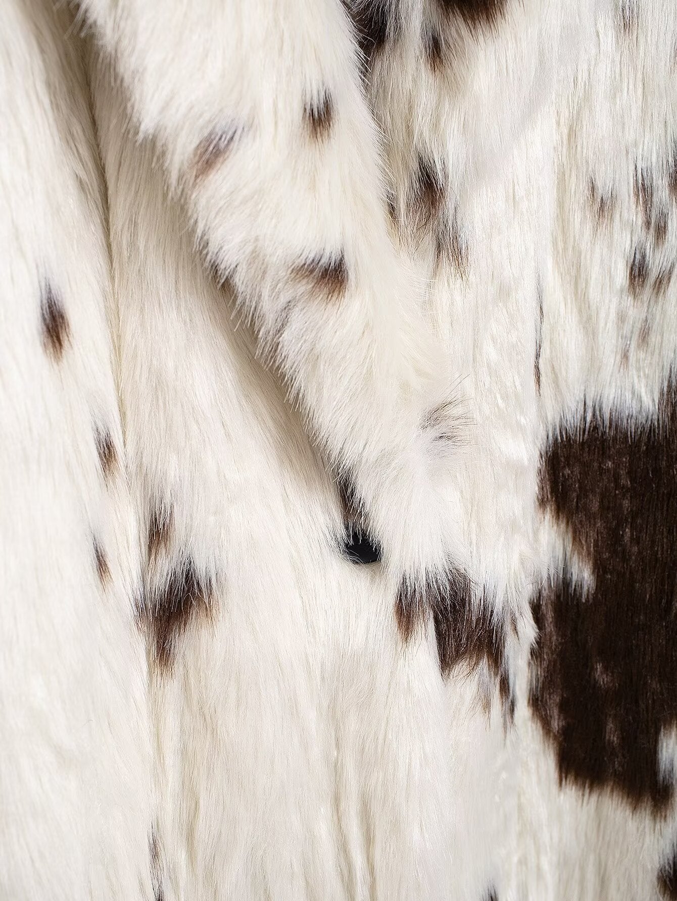 Dalmatian Long Fur Coat