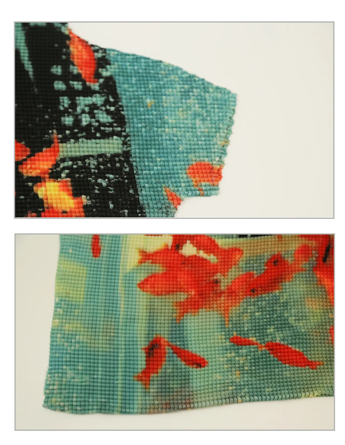 Fish Print Cotton Tee