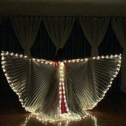 Butterfly LED Wings