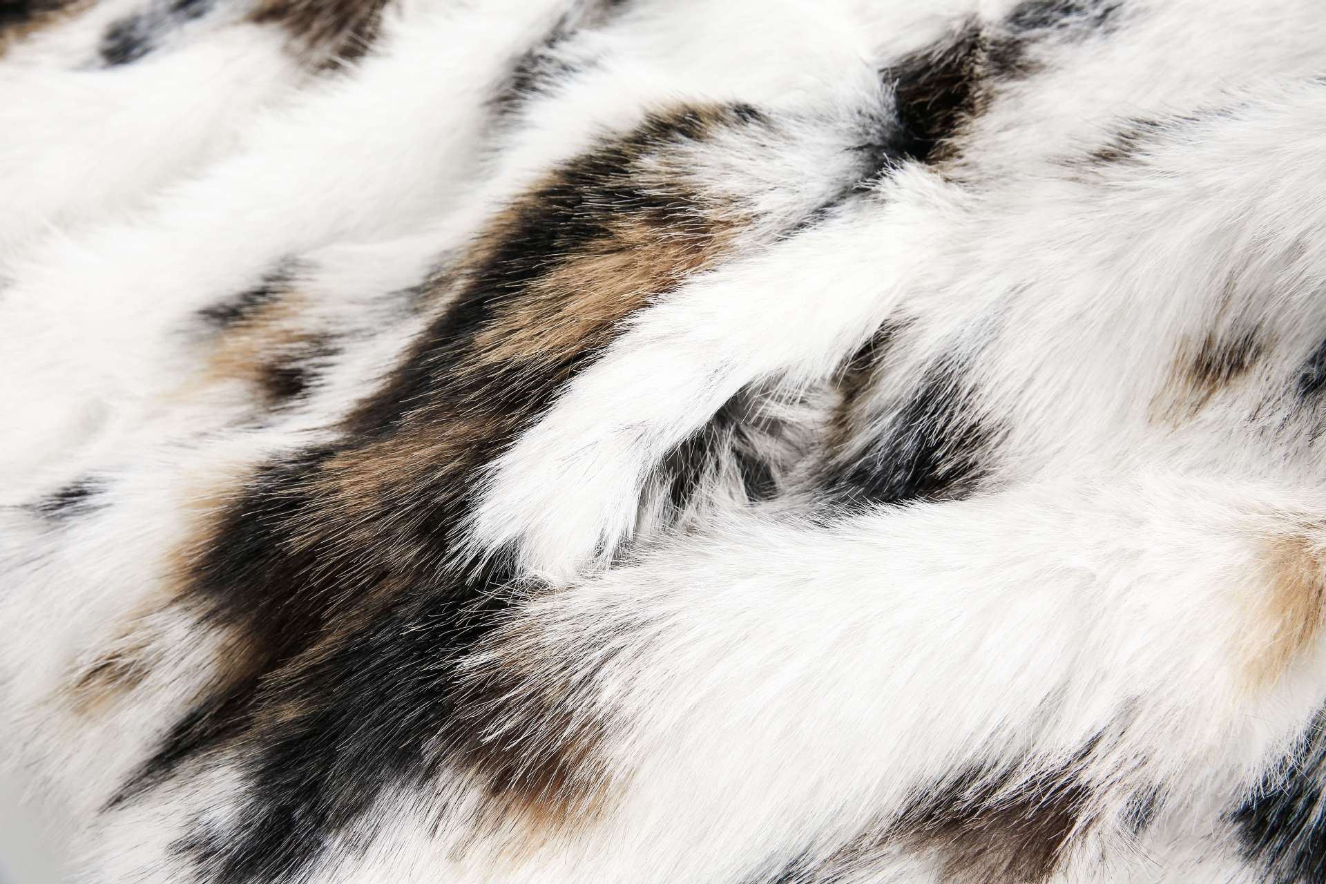 Dalmatian style fur coat model DD