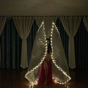 Butterfly LED Wings