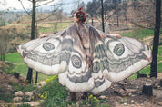 NOMADIC Realistic Butterfly Wings