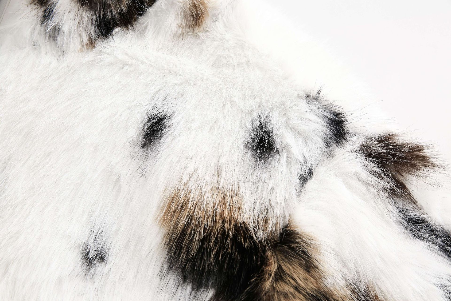 Dalmatian style fur coat model DD